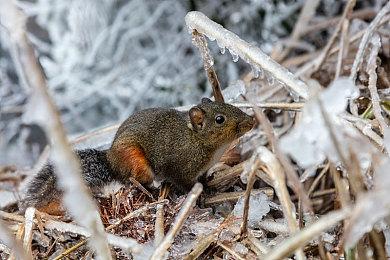 返校季促销火热进行中！DLC《往日之影》7折、标准版35折、终极版47折优惠来袭！