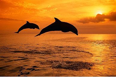 Epic喜加一：《消逝的光芒：增强版》《异形工厂》免费领