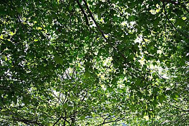 《如龙》开发商：RGG发布会将于9月20日举行